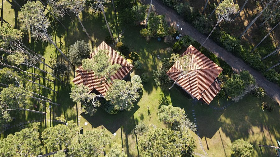 Vista aérea de las cabañas rodeadas de bosque de pinos