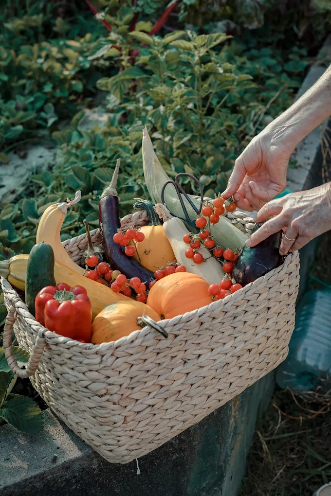 Canasta con verduras y frutas recién cosechadas de la huerta